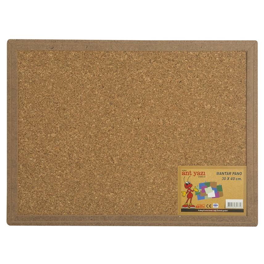 Ant Mantar Pano 30X40cm - 1