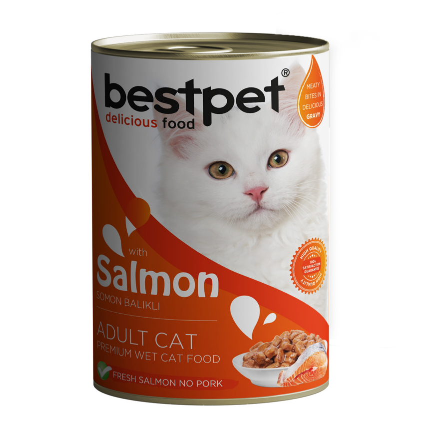 Bestpet Somon Etli Yetişkin Kedi Konservesi 400 G - 1