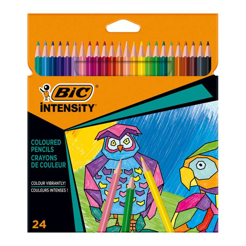 Bic İntensity Üçgen Kuru Boya Kalemi 24'lü - 1