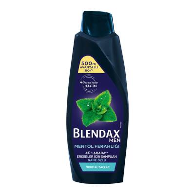 Blendax Nane Özlü Erkek Şampuanı 500 Ml - Blendax