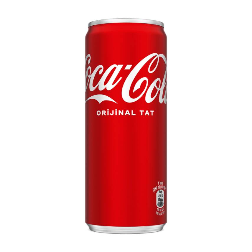 Coca-Cola Orijinal Tat Kutu 250 ML - 1