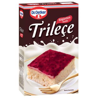 Dr.Oetker Trileçe-Böğürtlen Soslu 315 G - Dr.Oetker