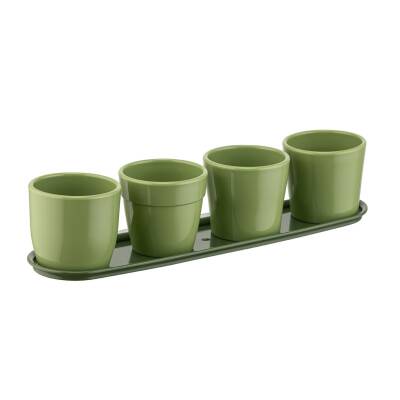 Farist Garden Geven Tabaklı Kaktüs Saksı - Farist