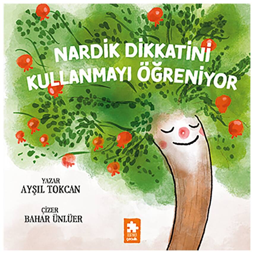 Nardik Dikkatini Kullanmayı Öğreniyor - 1