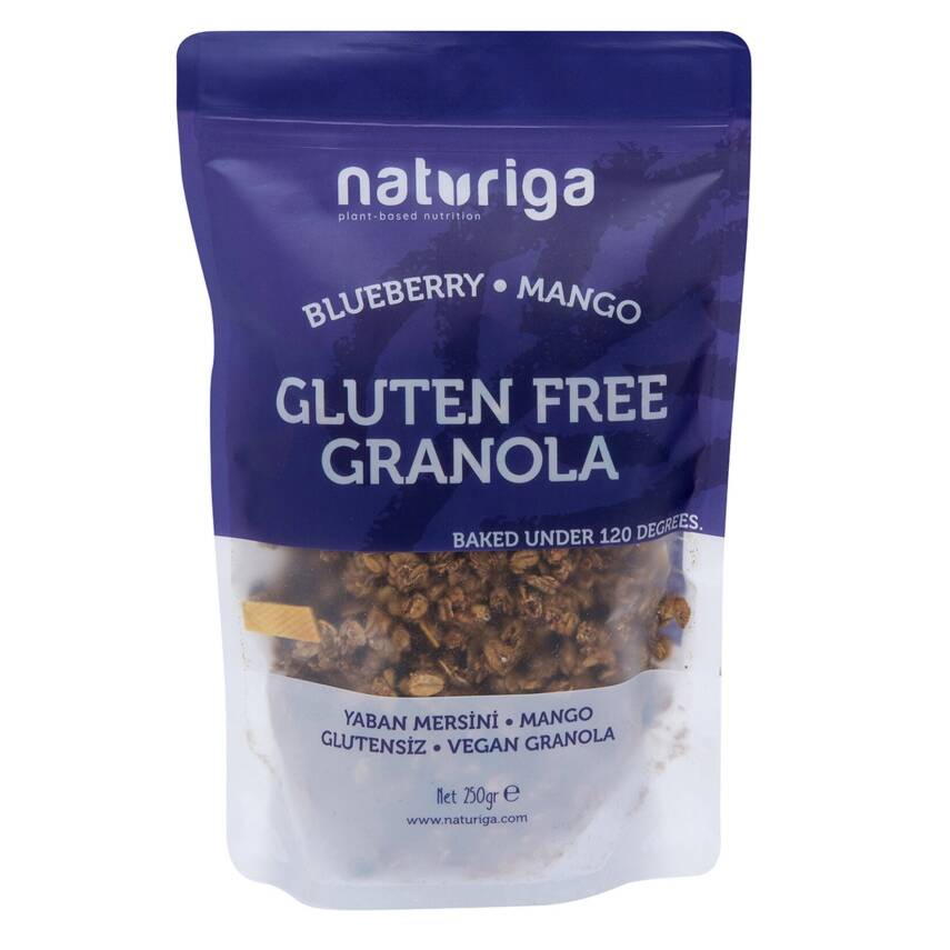 Naturiga Glutensiz Granola (Yaban Mersini, Mango) - 1