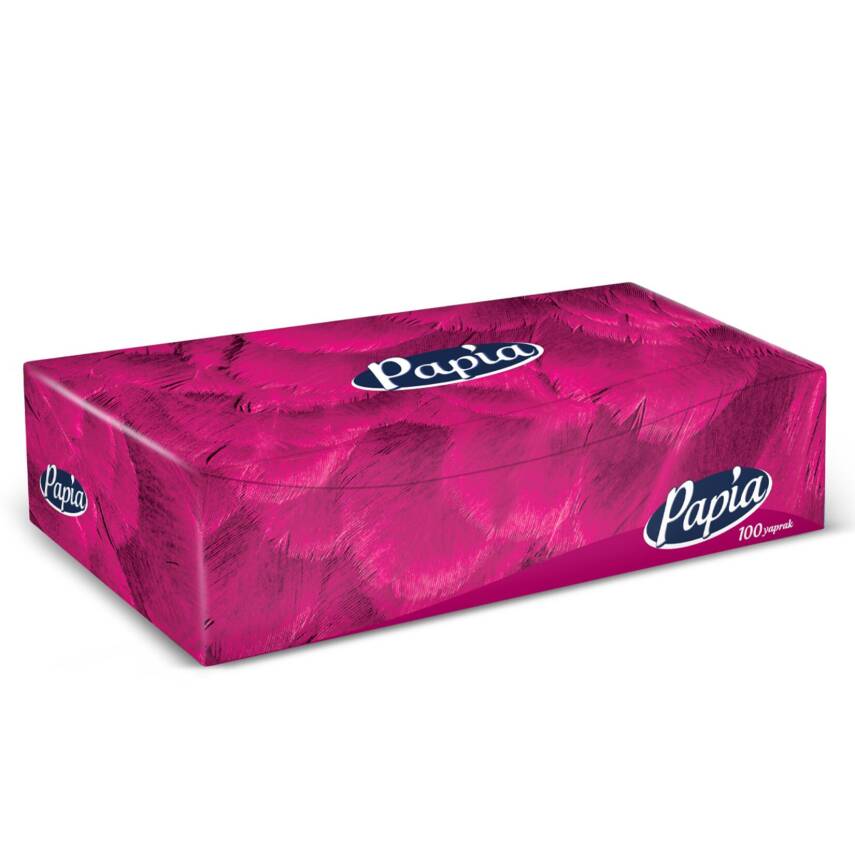Papia Kutu Mendil 100'lü - 1